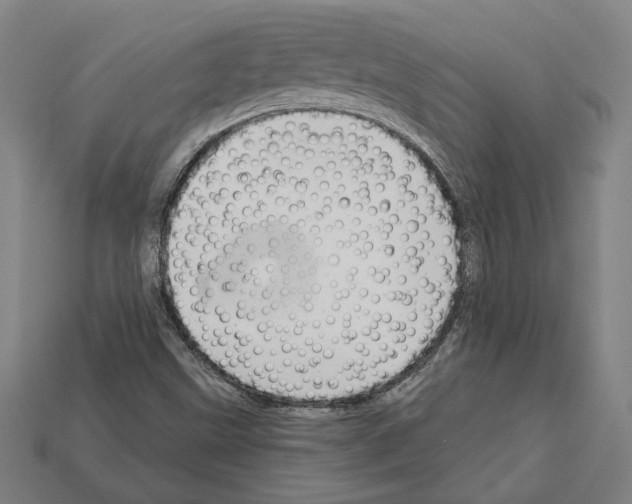 X0000112021499200909141025