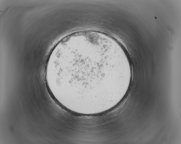 X0000112021500200909141025