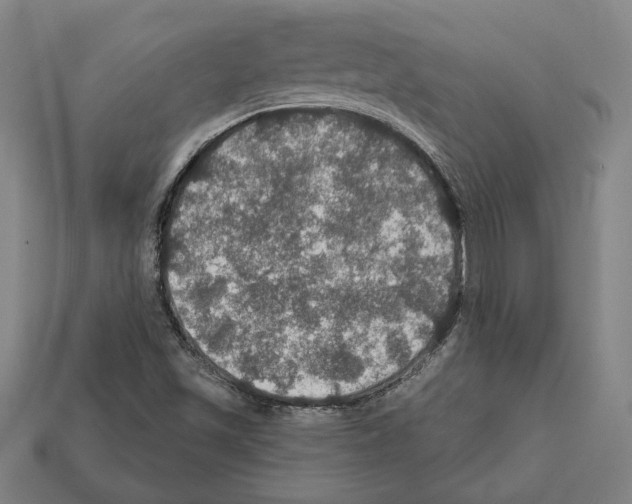 X0000112021501200909141025