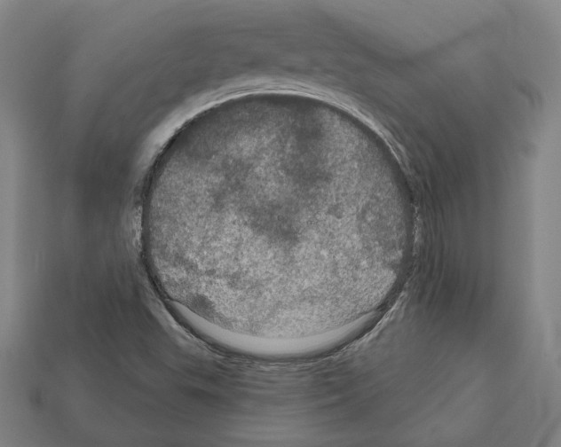 X0000112021503200909141025