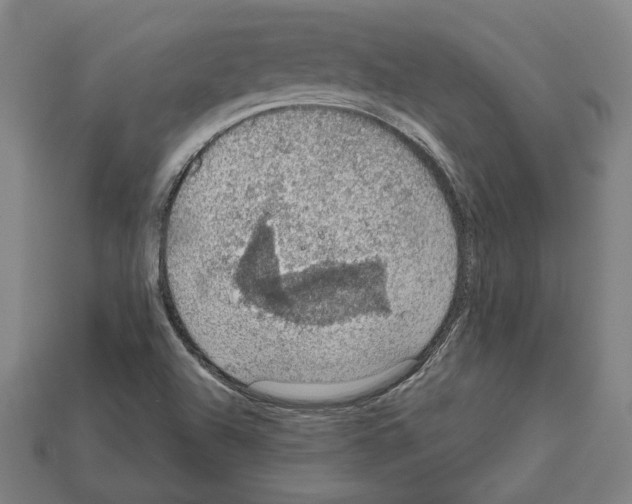 X0000112021504200909141025