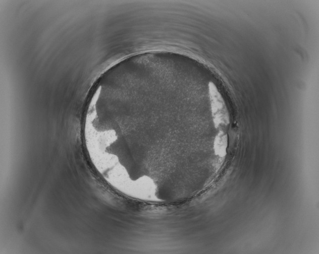 X0000112021505200909141025