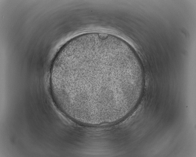 X0000112021507200909141025