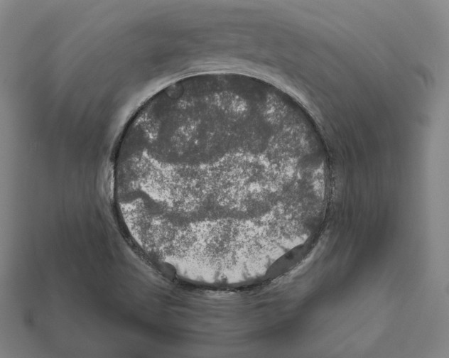 X0000112021509200909141025