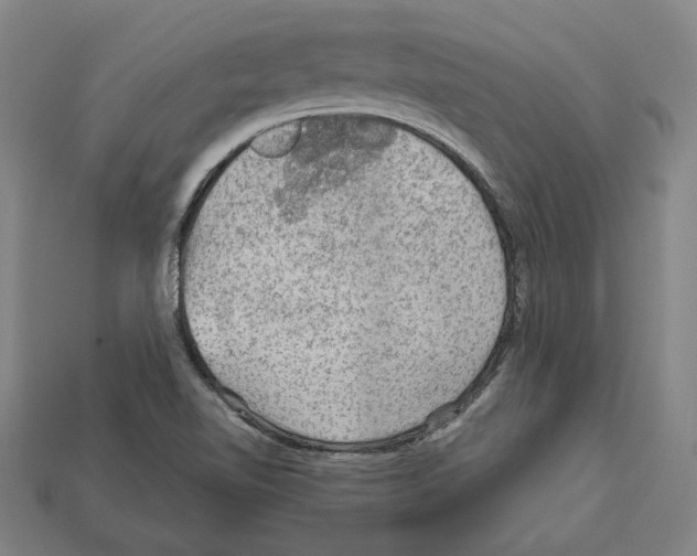 X0000112021510200909141025