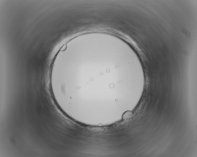 X0000112021512200909141025