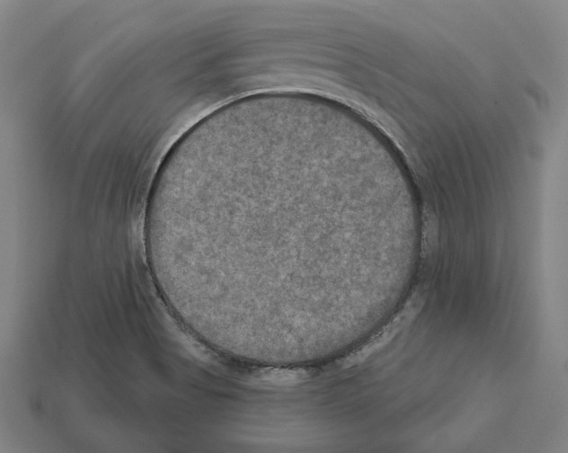 X0000112021513200909141025