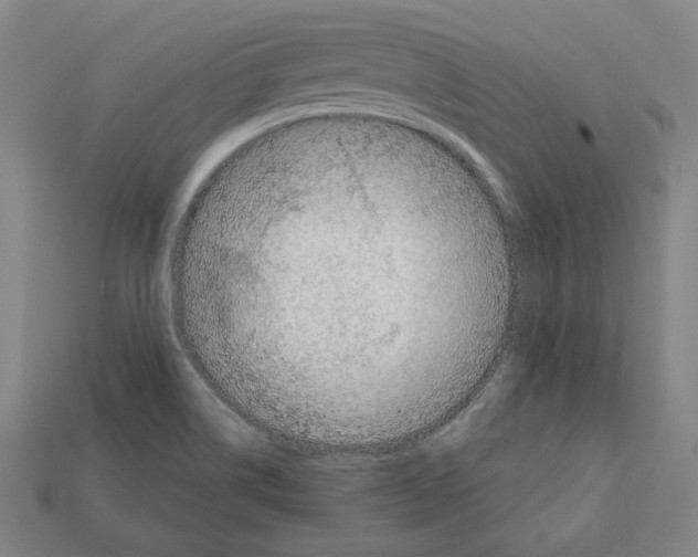 X0000112021514200909141025