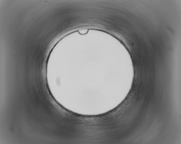 X0000112021516200909141025