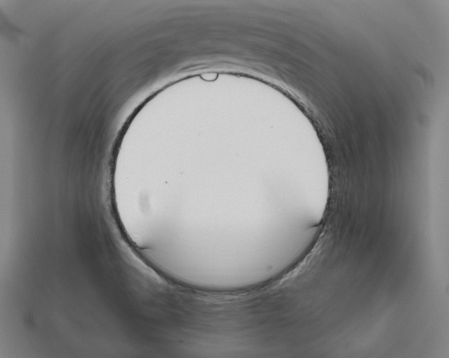 X0000112021518200909141025