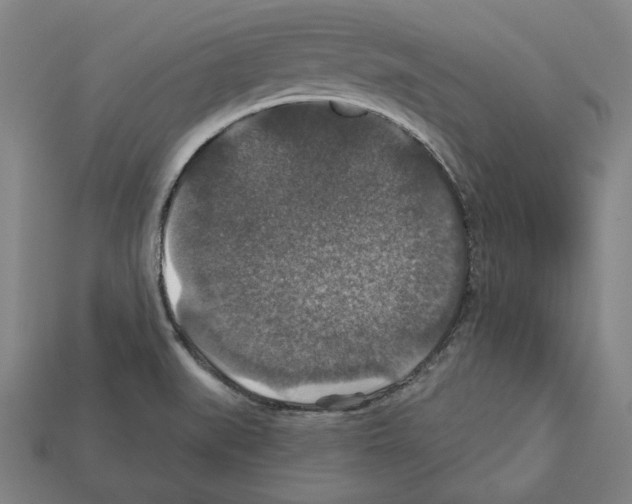 X0000112021519200909141025