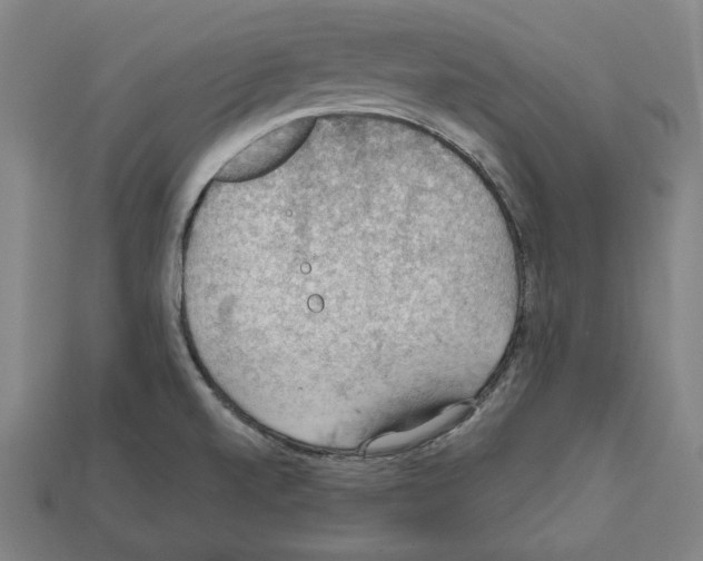 X0000112021520200909141025