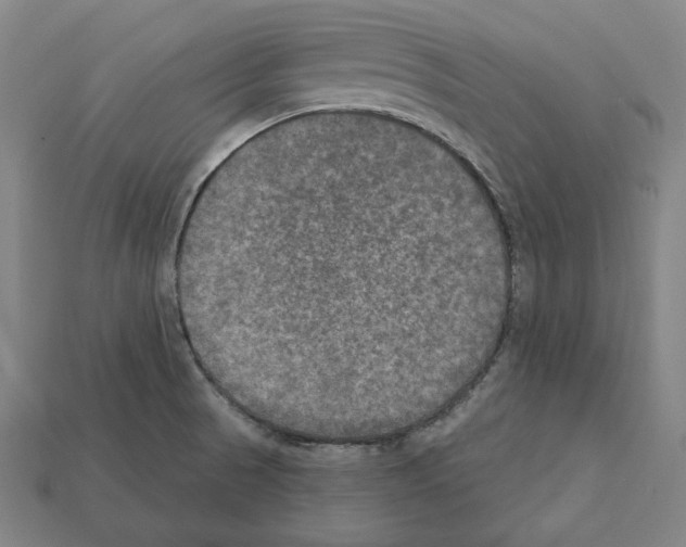 X0000112021521200909141025