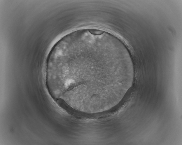 X0000112021522200909141025