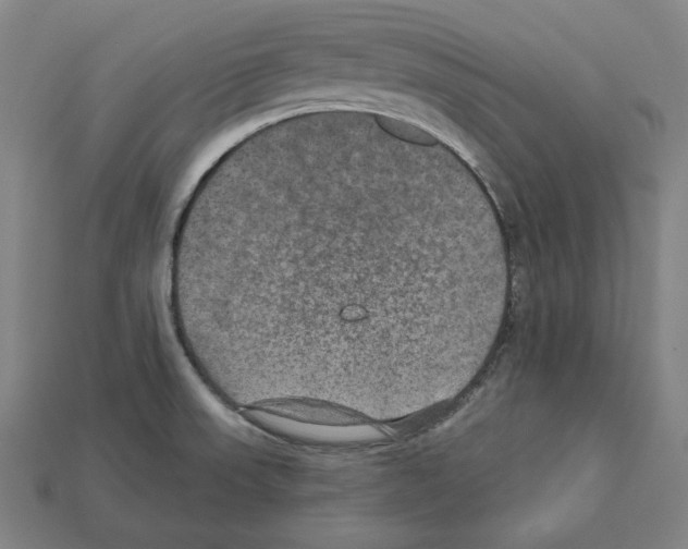 X0000112021523200909141025