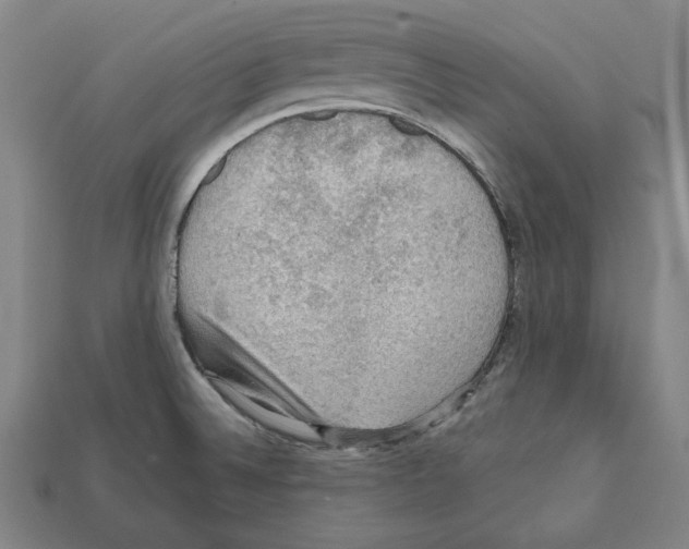 X0000112021524200909141025