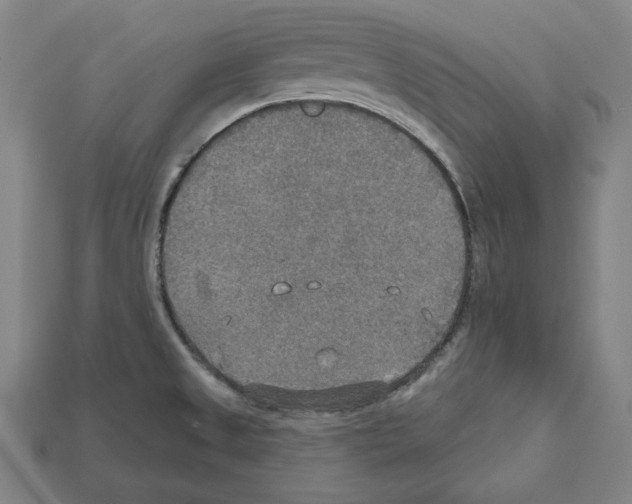 X0000112021525200909141025