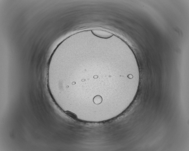 X0000112021526200909141025