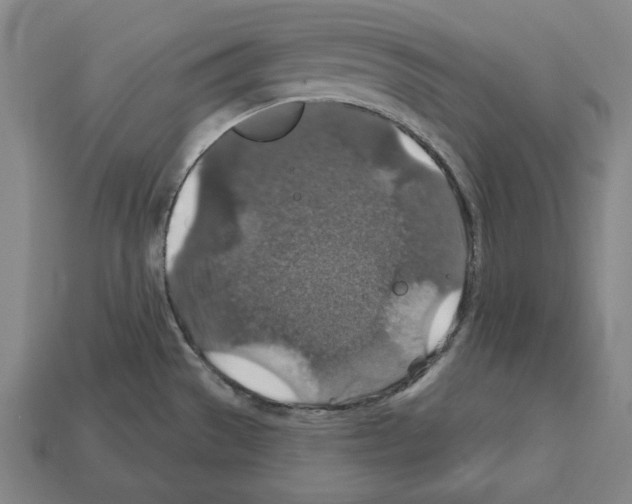 X0000112021529200909141025