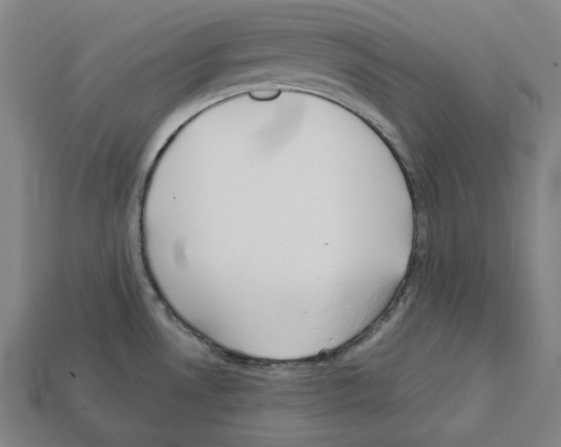 X0000112021530200909141025