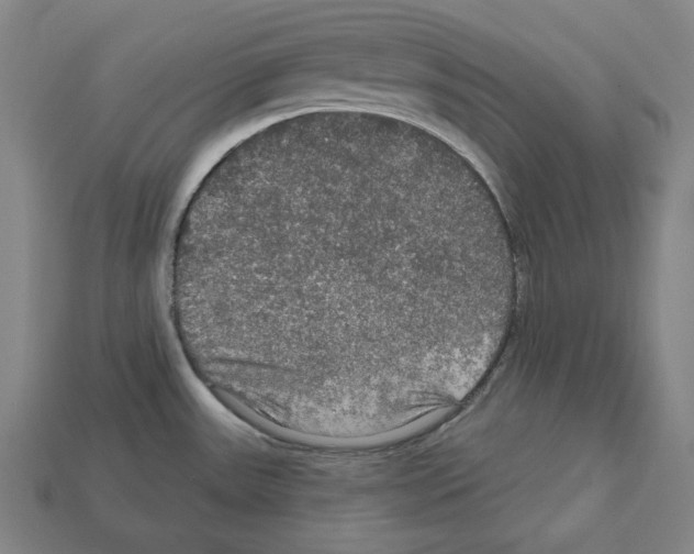 X0000112021531200909141025