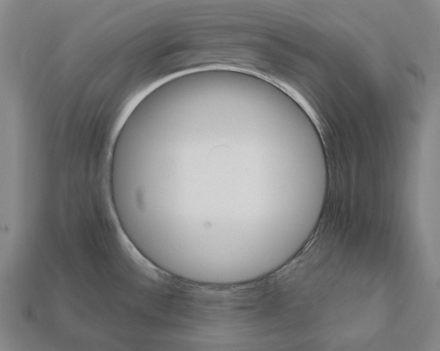 X0000112021532200909141025