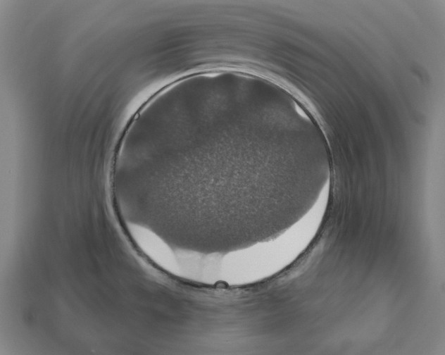 X0000112021533200909141025