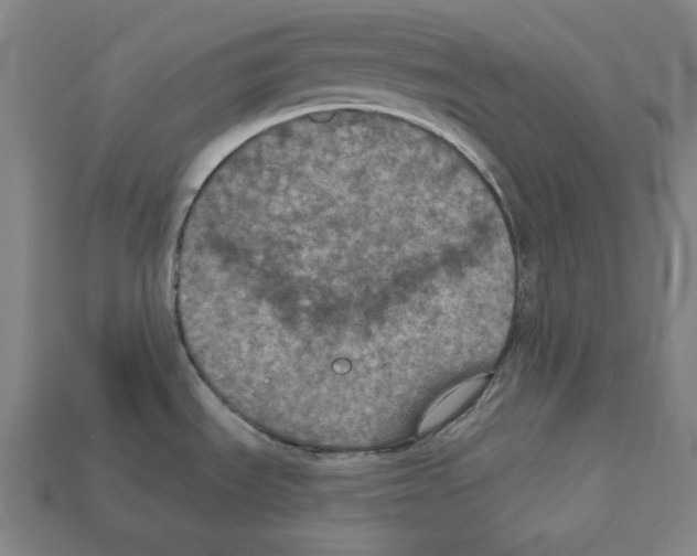 X0000112021535200909141025