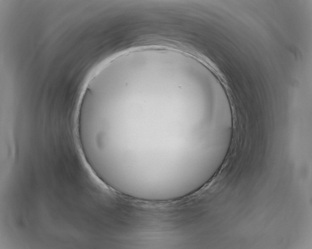 X0000112021536200909141025