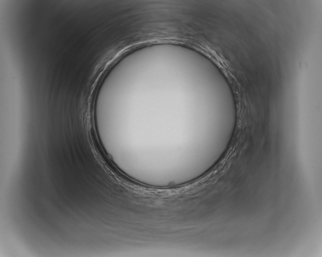 X0000112030002200908031031