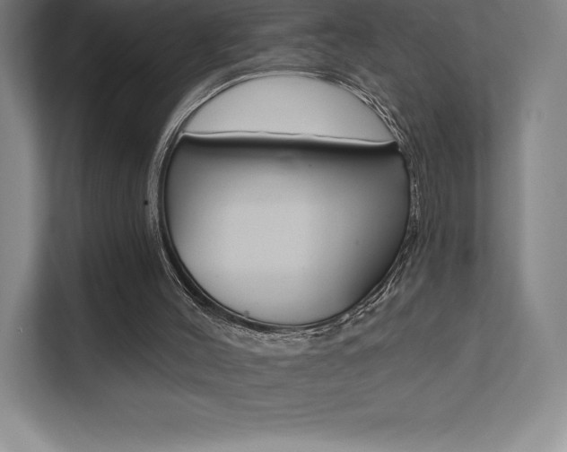 X0000112030004200908031031