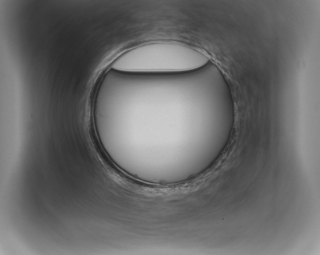 X0000112030005200908031031