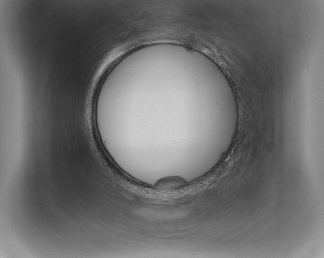 X0000112030006200908031031