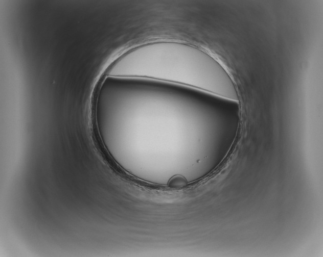 X0000112030008200908031031