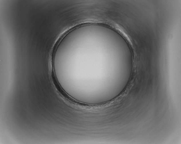X0000112030011200908031031