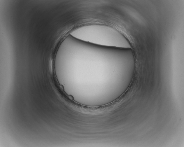 X0000112030014200908031031