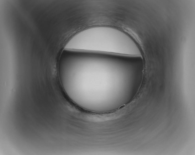 X0000112030017200908031031