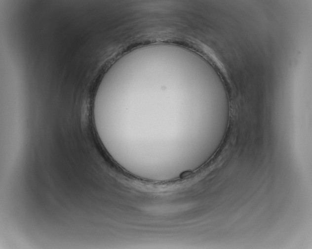 X0000112030018200908031031