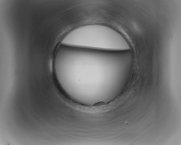 X0000112030019200908031031