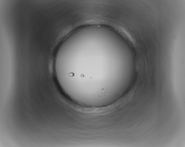 X0000112030023200908031031