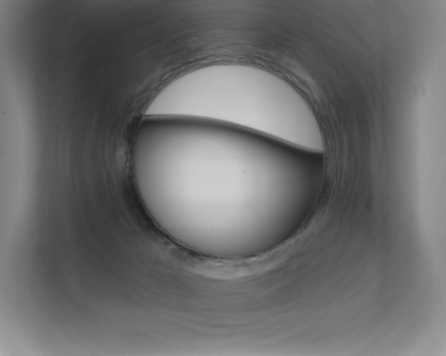 X0000112030029200908031031