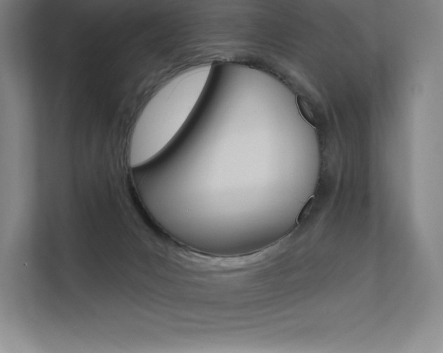 X0000112030031200908031031