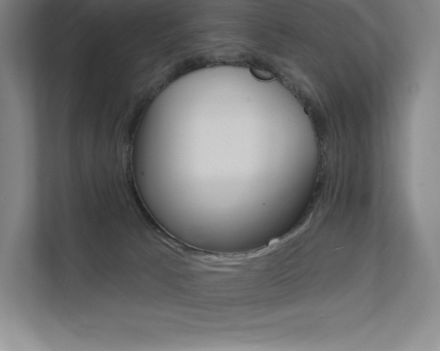 X0000112030033200908031031