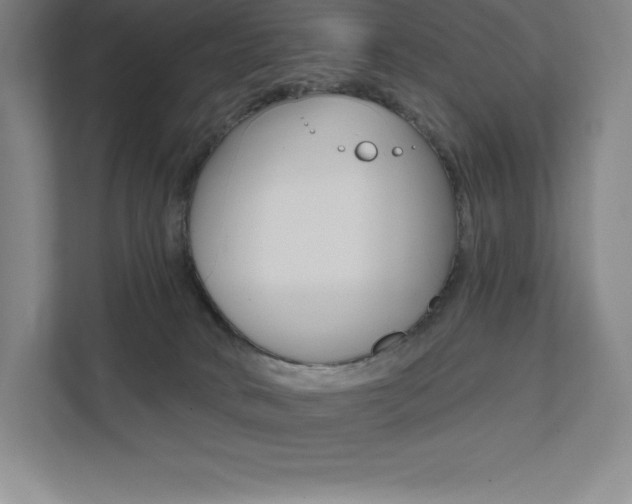 X0000112030034200908031031