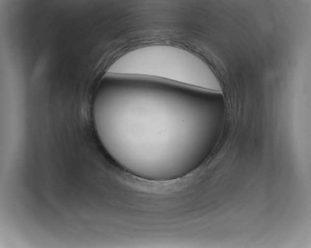 X0000112030035200908031031