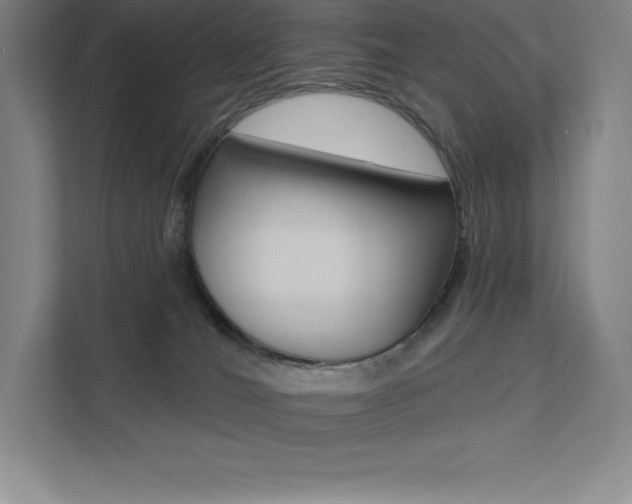 X0000112030036200908031031