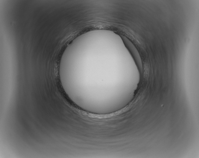 X0000112030043200908031031