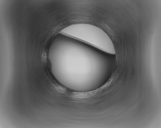 X0000112030045200908031031