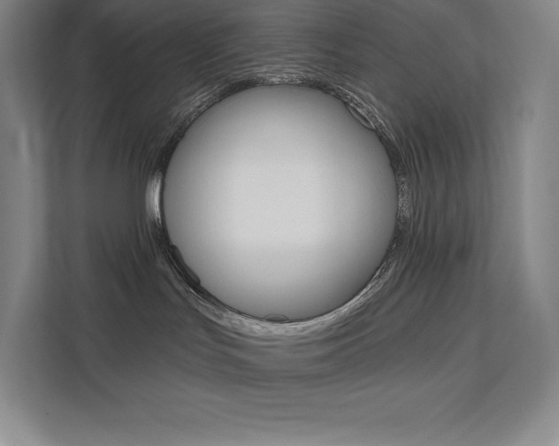 X0000112030047200908031031