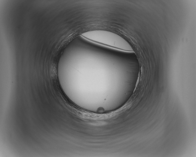 X0000112030048200908031031